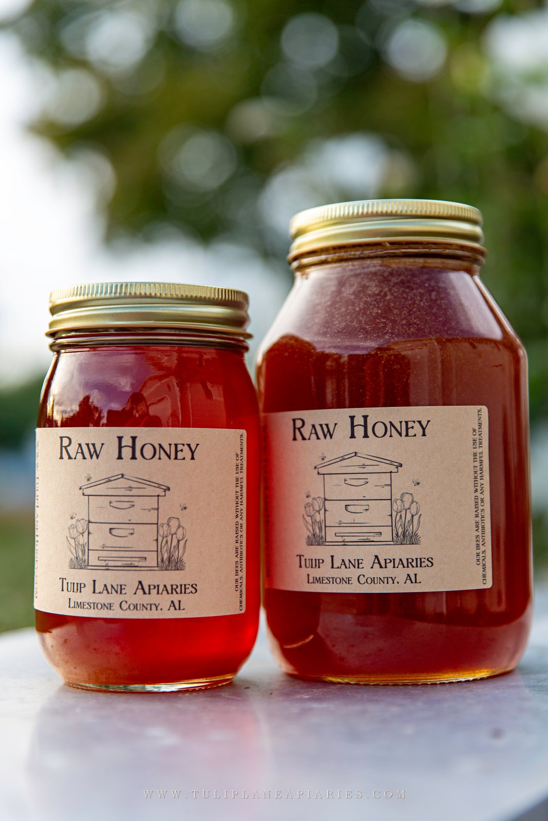 A pint and a quart jar of Tulip Lane raw honey